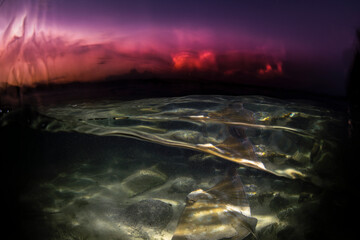 An eagle ray glides over the sandy shallows at sunset in Australia, captured in a dramatic over-under shot.