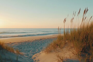 Tranquil Path to the Sea: Dunes and Grasses at Sunset