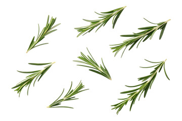 Obraz premium Fresh Rosemary Sprigs Vibrant Green Herb Culinary and Aromatic Detailed