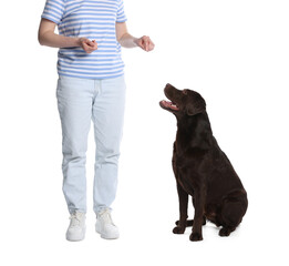 Obraz premium Woman training her dog on white background, closeup