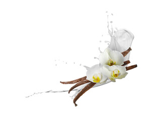 Vanilla milk splash, flowers and pods in air on white background