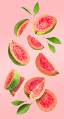 Fresh guava fruits and leaves falling on pastel pink background