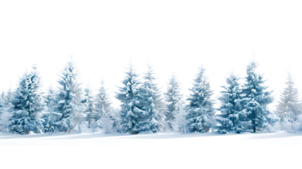 Serene Winter Forest Covered with Snow on Isolated White Background - Ideal for Seasonal Graphics and Holiday Designs