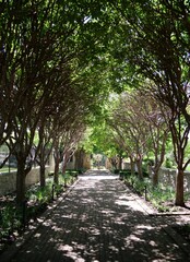 Ewing and Muriel Kauffman Memorial Garden