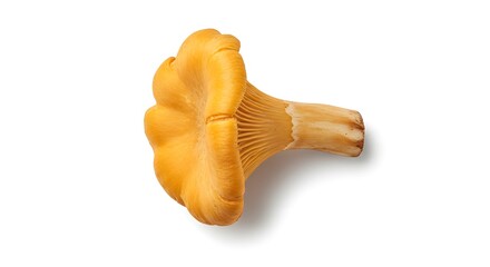 Realistic studio photo of a wild chanterelle mushroom, isolated on a white background, top-down angle, detailed gills texture and earthy color tones, subtle shadow below for depth
