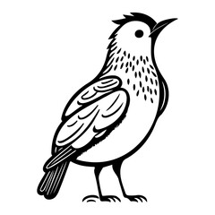 Stylized Black and White Bird Illustration with Detailed Feather Texture