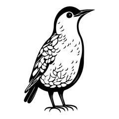 Fototapeta premium Elegant bird illustration featuring minimalist linework against a plain background