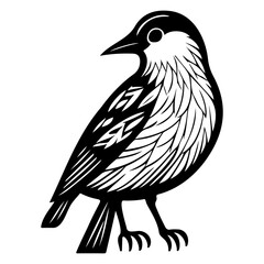 Obraz premium Monochrome avian illustration with detailed plumage texture and sharp graphic lines