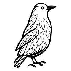 Obraz premium Stylized avian illustration presenting minimalist outline artwork, showcasing avian anatomy