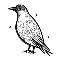 Monochrome avian illustration rendered in a striking graphic style, evoking natural beauty