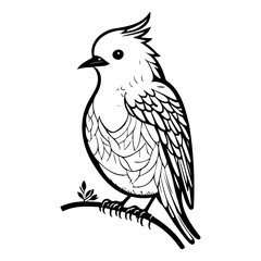 Elegant monochrome bird illustration on a branch detailed feather pattern