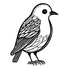 Stylized avian illustration with striking monochrome linework aesthetic design