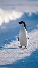 A single penguin stands on a snowy terrain.