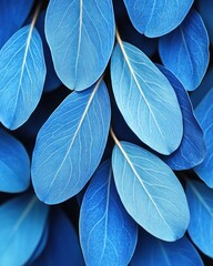 Obraz premium Vibrant blue leaves close-up