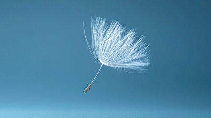 A single dandelion seed floats gently against a blue background, symbolizing lightness and new beginnings.