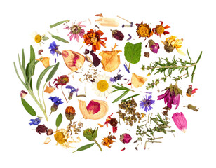 A scattered assortment of rant dried herbs and botanicals on a clean white background
