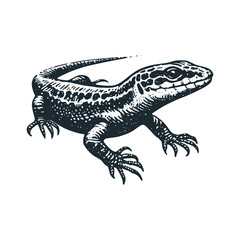 Obraz premium The lizard or gecko – Black and White Icon Vector and Illustration