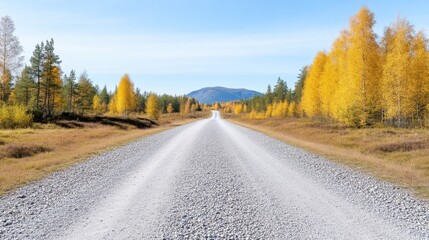 Fototapeta premium Scenic gravel road through autumn forest