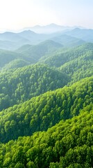 Obraz premium Lush green mountain range, layers of hills fading into misty distance