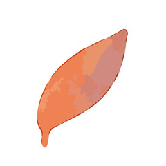 Vector illustrations shape element with watercolor style