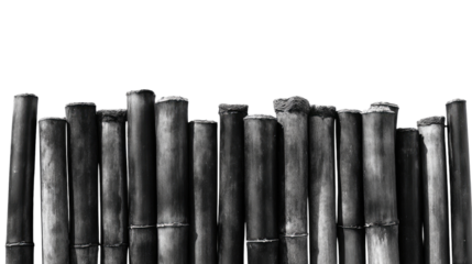 Bamboo Fence: An abstract composition of bamboo poles creates a natural fence, offering both a visual barrier and a touch of rustic elegance, ideal for design concepts.