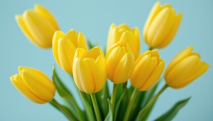 Vibrant yellow tulips in a clear vase indoor floral arrangement bright and cheerful environment close-up view