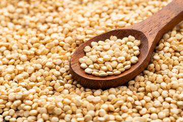 Organic white quinoa seeds in a wooden spoon - Chenopodium quinoa