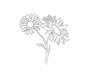 Beautiful sunflower outline drawing illustration. one continuous line drawing of sunflower.