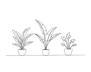 Obraz premium Potted houseplant, garden plant outline drawing illustration. one continuous line drawing of houseplant.