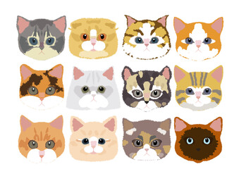 世界の猫　主線なしイラスト