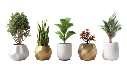 Obraz premium Indoor Garden's Symphony: A curated collection of verdant indoor plants, each nestled in uniquely designed, geometrically inspired pots.