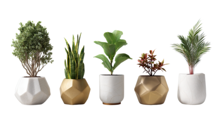 Indoor Garden's Symphony: A curated collection of verdant indoor plants, each nestled in uniquely designed, geometrically inspired pots.