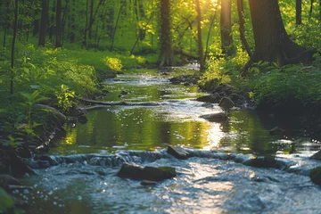 Wanddecoratie Ziekenhuis Beautiful film showcases the tranquil and scenic charm of a winding creek, featuring the soothing sounds of flowing water and vibrant greenery in its peaceful setting      © vinceb