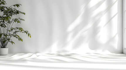Nature-inspired indoor plant scene bright white background calm atmosphere minimalist design