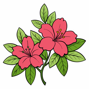pink flowers green leaves white background clip art preview
