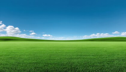 Fototapeta premium Vast green field under a clear blue sky.