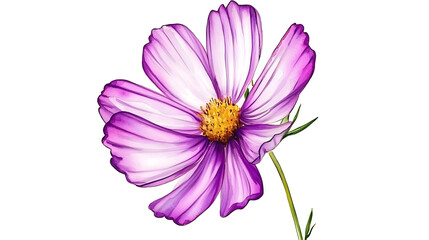 Fototapeta premium A close up of a purple flower with a yellow center