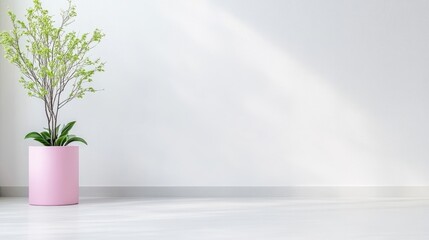 A potted green plant in a pink vase standing against a white minimalist wall, soft sunlight casting shadows, and indoor decor concept.