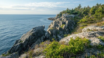 A cliff overlooking the sea with rugged plants and shrubs clinging to the rocks, inviting hikers to explore further into the wilderness.