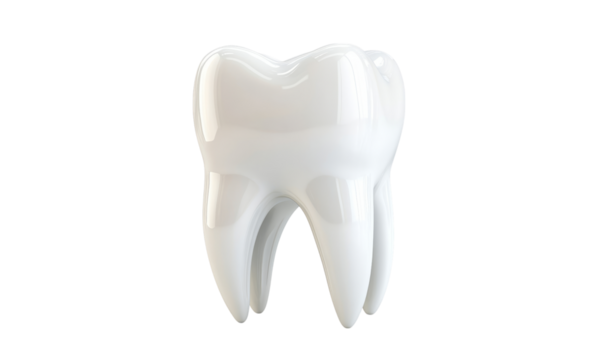 White tooth dental care oral hygiene dentistry dentist enamel molar healthy isolated on transparent background