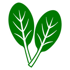 Spinach Green Leafy Vegetable Icon Vector Illustration on Transparent Background PNG Image