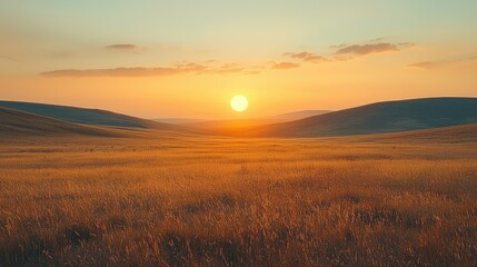 Obraz premium Golden sunset over a vast field
