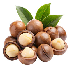 Whole Macadamia Nuts Isolated on White Background