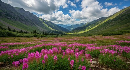 Mountain Valley Wildflowers - Vibrant pink wildflowers bloom across a lush green mountain valley under a partly cloudy sky