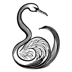 Elegant swan depiction with striking linear detail for graceful designs