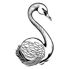 Elegant monochrome illustration showcasing a graceful swan with curved neck