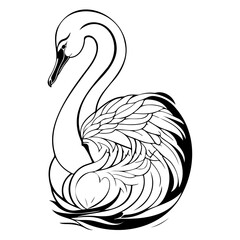 Elegant black and white swan illustration with intricate feather details drawing
