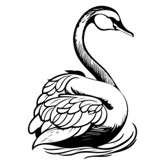 Elegant Swan Silhouette: Graceful Bird Vector Illustration in Black and White