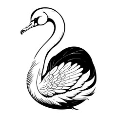 Elegant Swan Illustration with Detailed Feathering and Smooth Black and White Tones