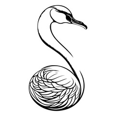 Elegant swan in monochrome outline, reflecting grace and minimalism with artistic detail